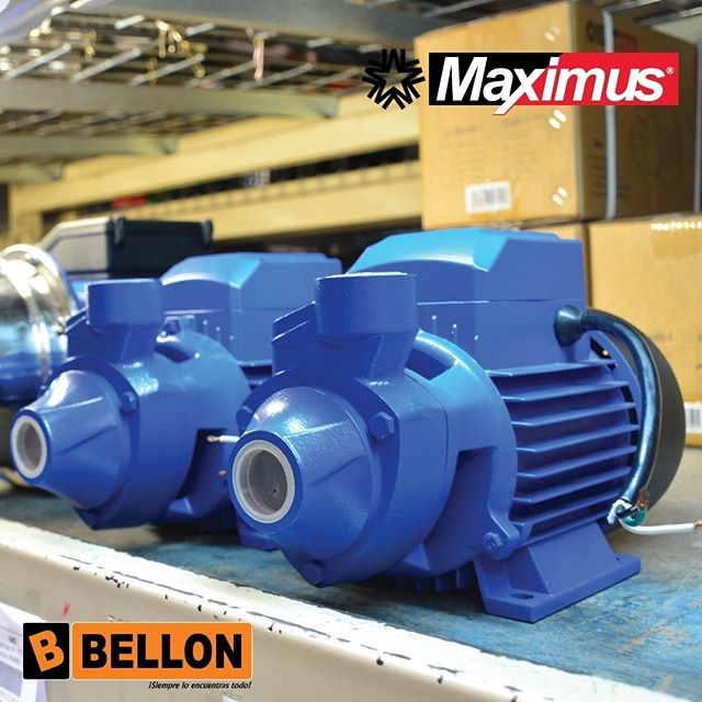 BOMBA LADRONA MAXIMUS 110V