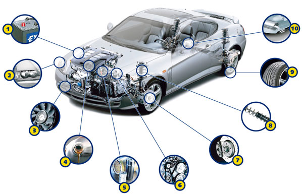 Mantenimientos y Servicios Vehiculos (CEI)